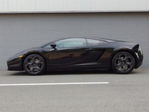 LA25020-Gallardo-Balck-5
