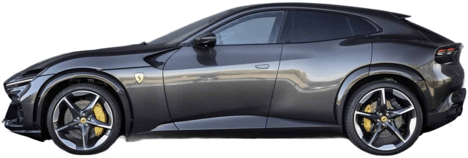 Unknown Purosangue Canna di Fucile (1)