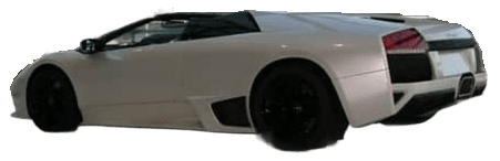 unknown Murcielago spider bianco (8)